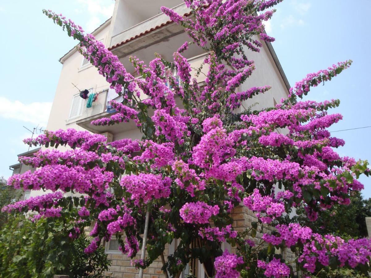 Gojko Apartment Sali