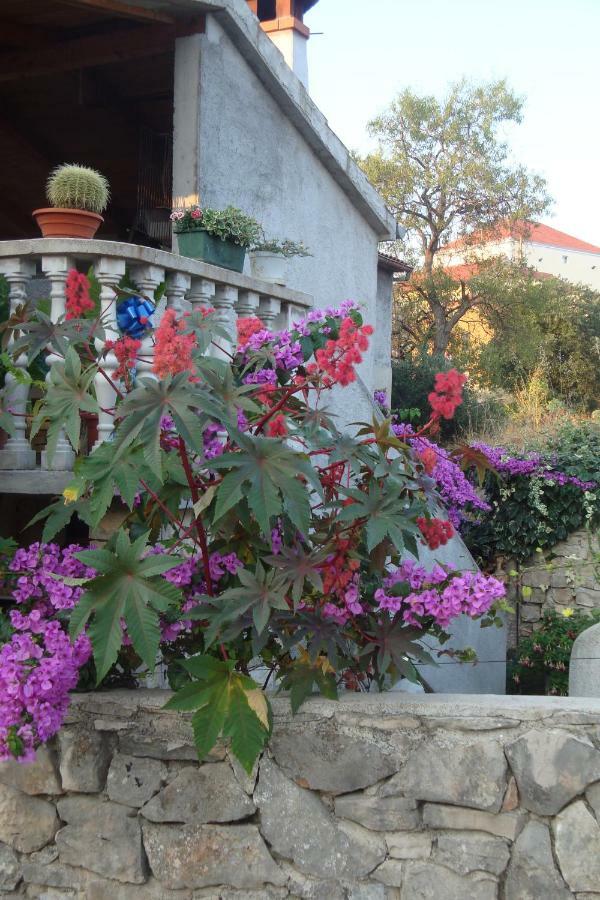 Apartament Gojko